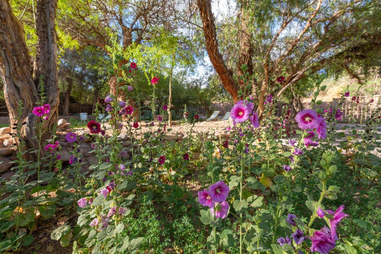 Casa Solcor Boutique Bed & Breakfast Hotel San Pedro de Atacama Exterior photo